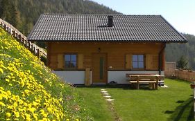 Chalet Niederhaushof